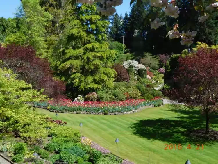 比赛节奏高低起伏,胜负焦点意外战果令人叹赏的简单介绍 比赛节奏高低起伏,胜负焦点意外战果令人叹赏的简单介绍