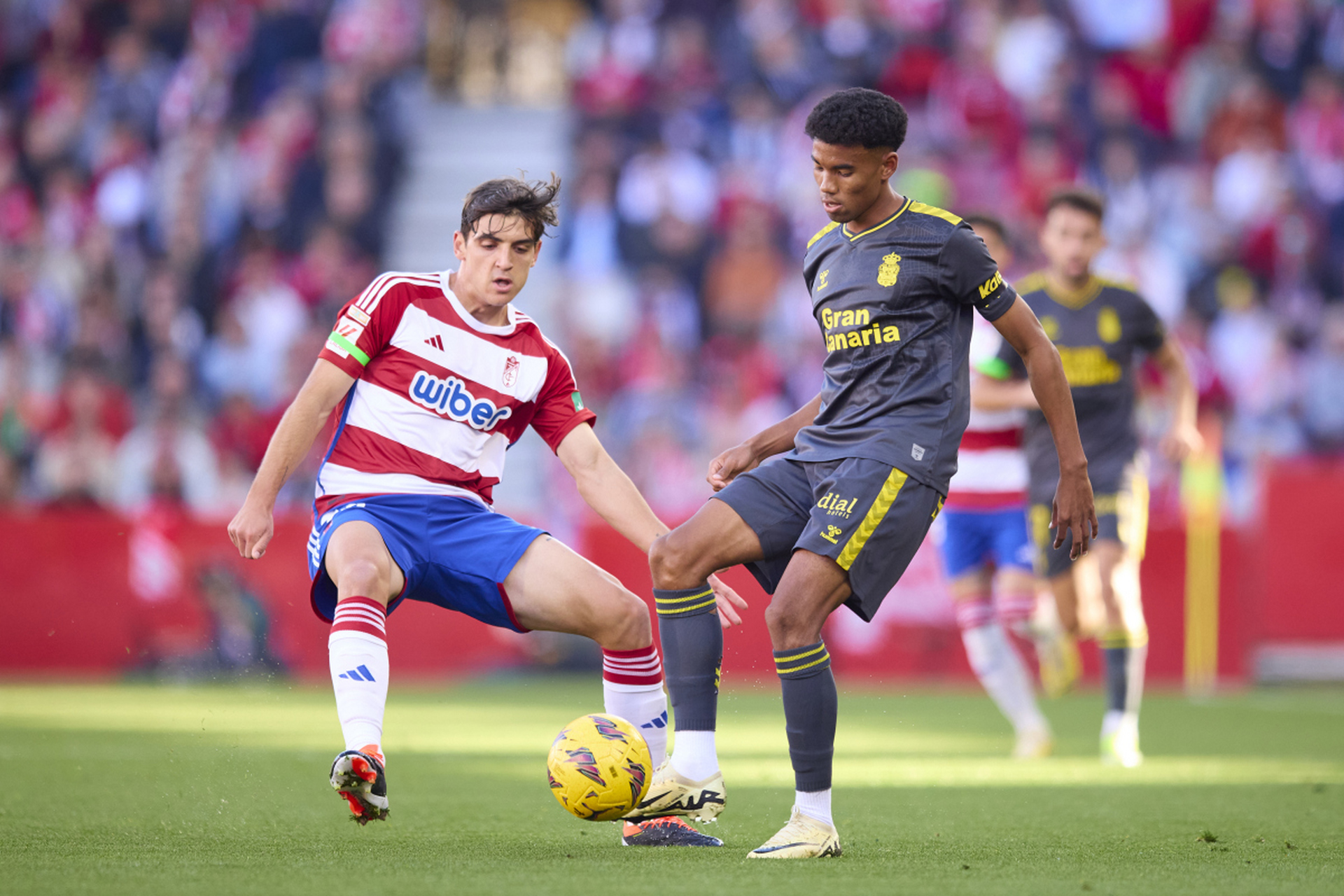 九游官网-格拉纳达主场失守，留下遗憾的简单介绍