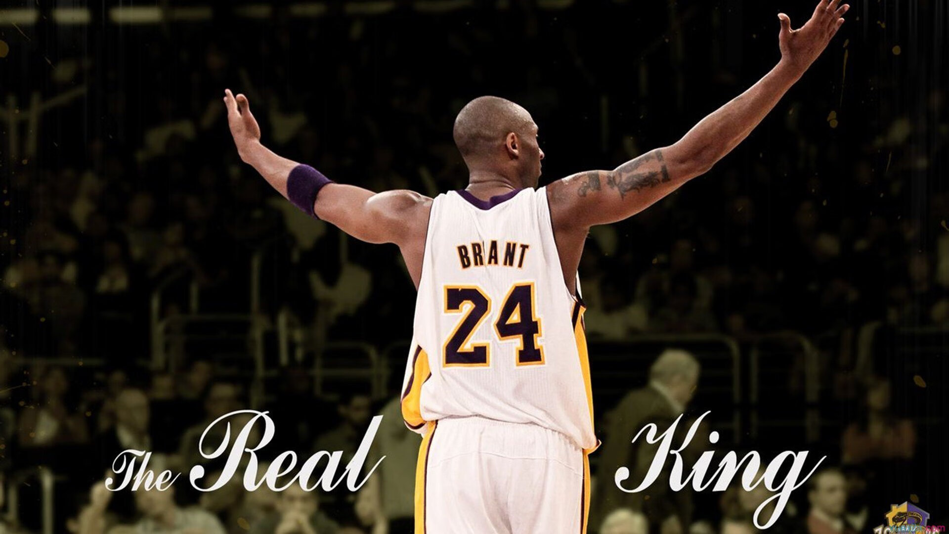 穆勒关键先生本色尽显，土耳其单节爆发拉开葡萄牙